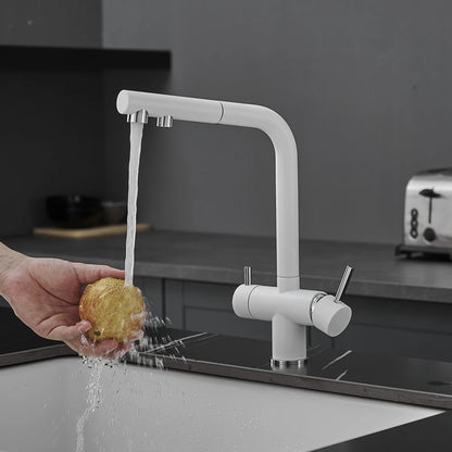 Brushed Nickel Pull Out Filter Faucets Quality Brass