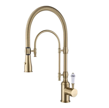Faucet Pull Out 360 Degree Multi-Function Spring Pull