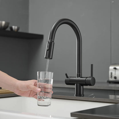 Pull Out Filter Sink Faucets Pull Down Cold