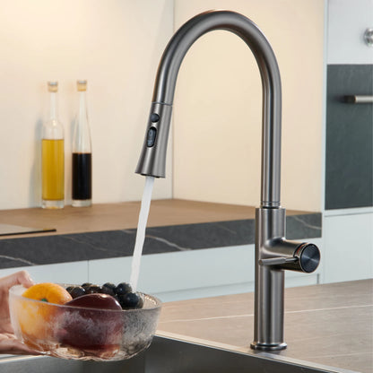Aitana Pull Out Design Gun Grey Faucet Simple