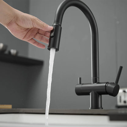 Pull Out Filter Sink Faucets Pull Down Cold
