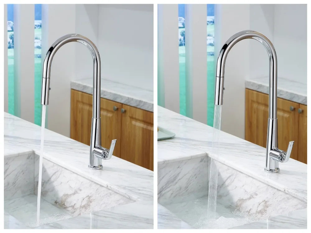 Brushed Gold Faucet Pull Out Sprayer Cold Water