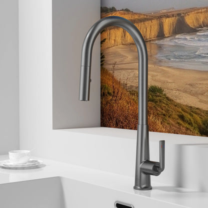 Brushed Gold Faucet Pull Out Sprayer Cold Water