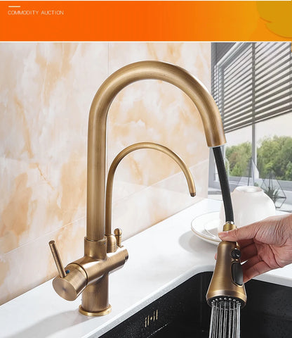 Antique Bronze Faucet Pull Out Water Purifier Sink