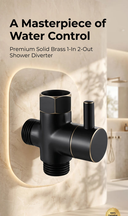 Solid Brass Shower Faucet Diverter Valve Two Way