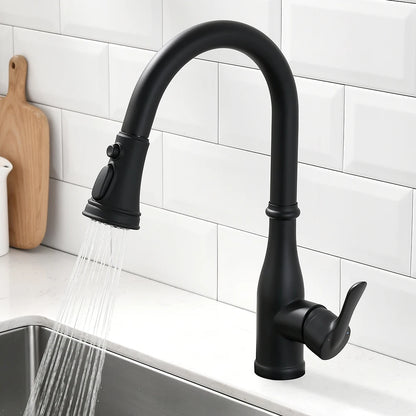 Brushed Nickel Faucets Handle Pull Out Tap Hole
