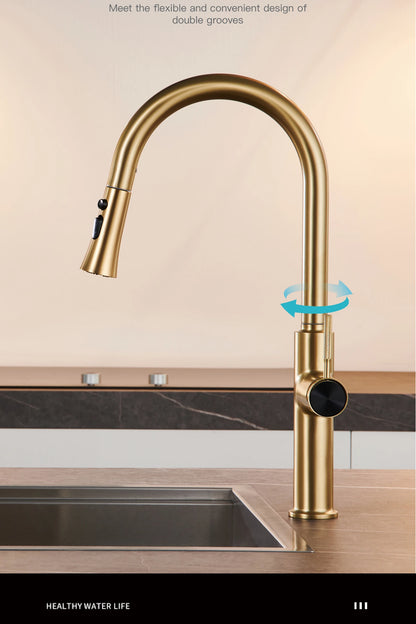 Aitana Pull Out Design Gun Grey Faucet Simple