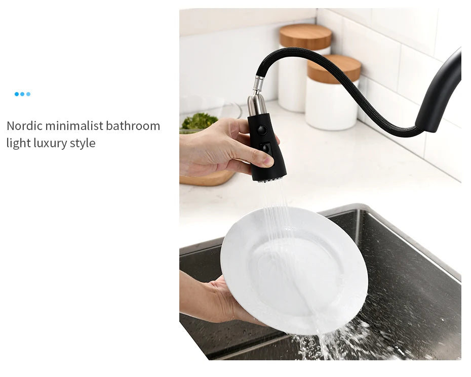 Brushed Nickel Faucets Handle Pull Out Tap Hole