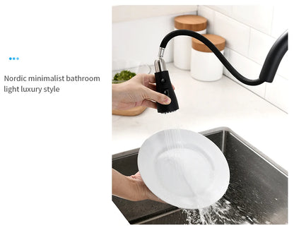 Brushed Nickel Faucets Handle Pull Out Tap Hole