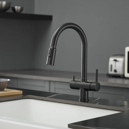 Pull Out Filter Sink Faucets Pull Down Cold
