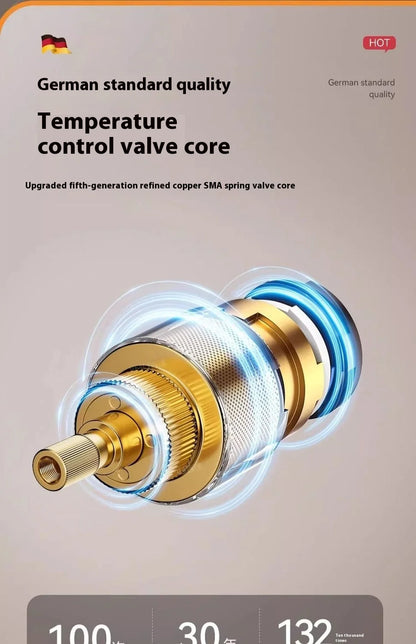 Thermostatic Mixing Valve Thermostatic Device Cold Shower