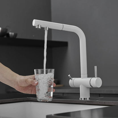 White Cold Filter Sink Faucets Ways Pure Water