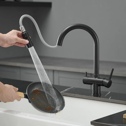 Brushed Nickel Pull Out Filter Faucets Quality Brass