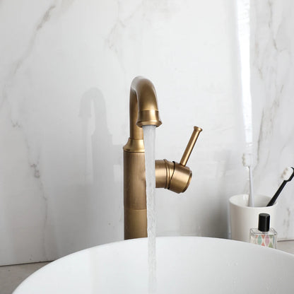 Zappo Bathroom Basin Faucet Rotatable Spout Cold Water