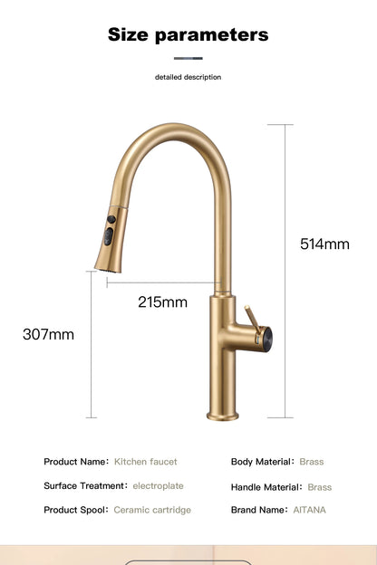 Aitana Pull Out Design Gun Grey Faucet Simple