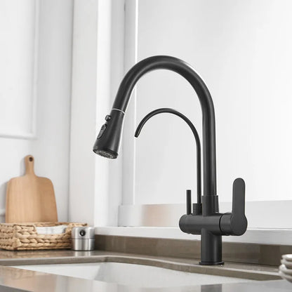 Way Pure Water Filter Faucets Black Pull Out