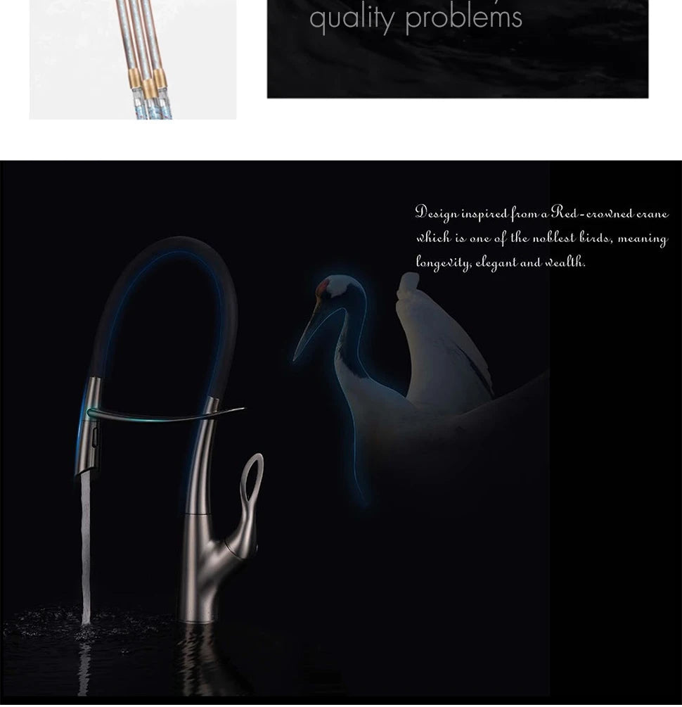 Pull Out Faucet Mixer Kitche