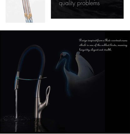 Pull Out Faucet Mixer Kitche