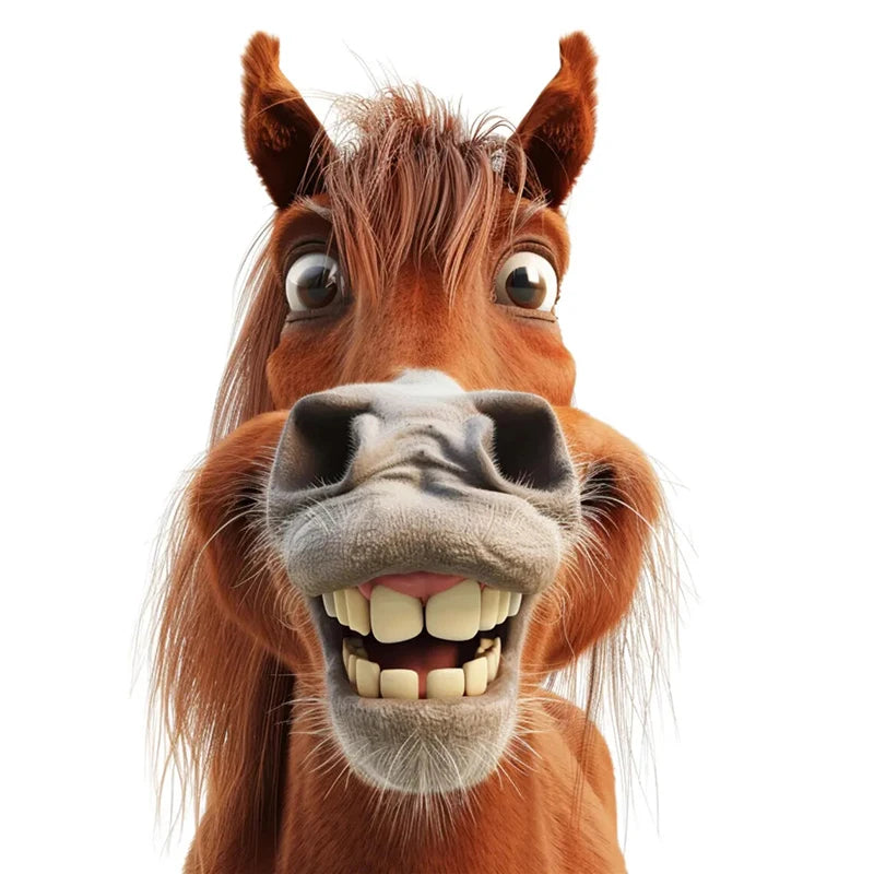 Fun Donkey Horse Cartoon Sticker Water-Proof & Uv-Resistant