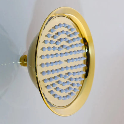 Kemaidi Luxury Golden 2-Function Bathroom Shower Exquisite High