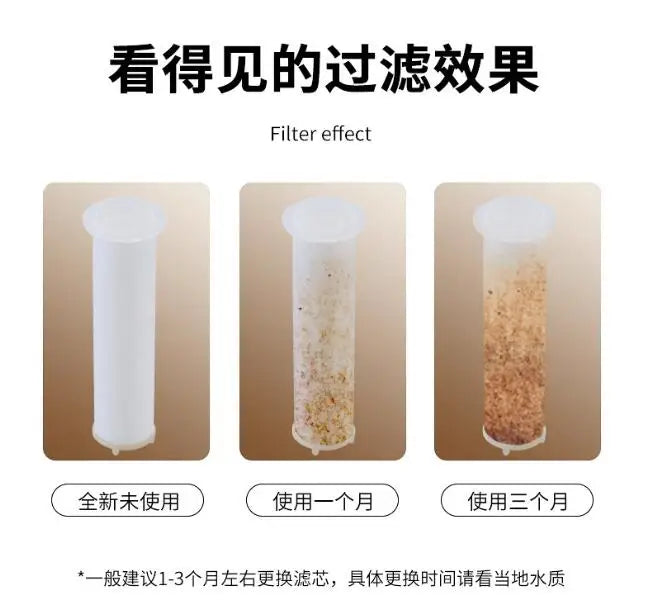 In Large Flow Shower Head Filter Modes High
