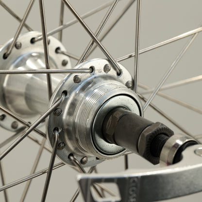 Electra Townie 21D Rear 26'' Wheel, Freewheel, Rim Brake, QR, Purple 7