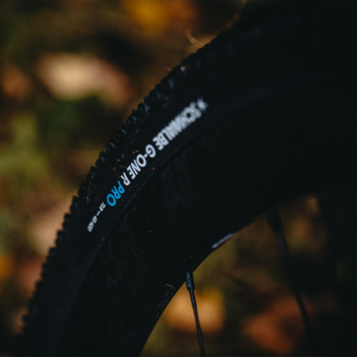 Schwalbe G-One R Tire - 700 x 45 Tubeless Folding Black/Transparent Evolution 2