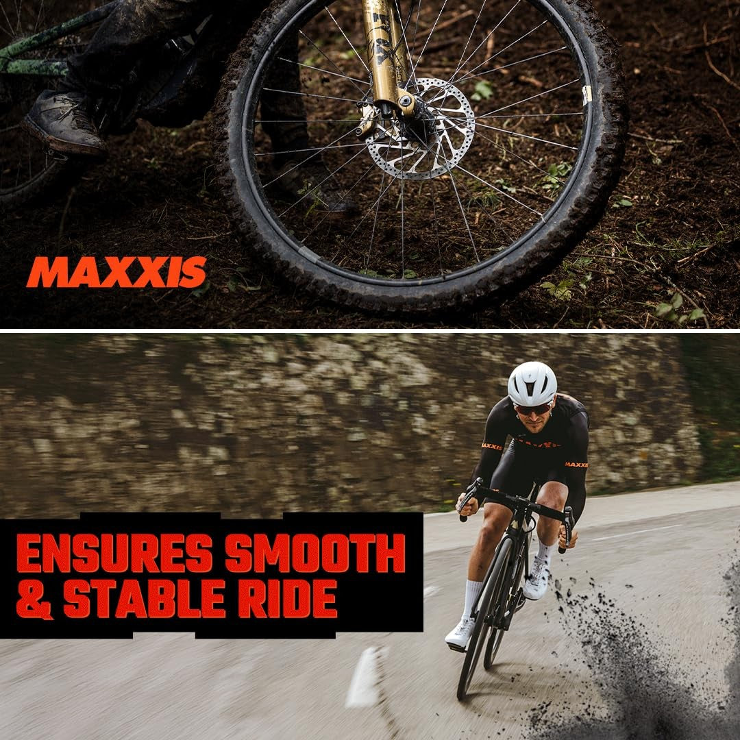 Maxxis Assegai | MaxxTerra - EXO | Mountain Bike Tire E25 29x2.50 5