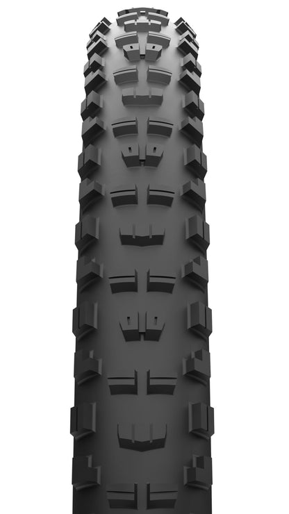 Maxxis Minion DHR II | MaxxTerra - DoubleDown (DD) | MTB Tire 29x2.50 2