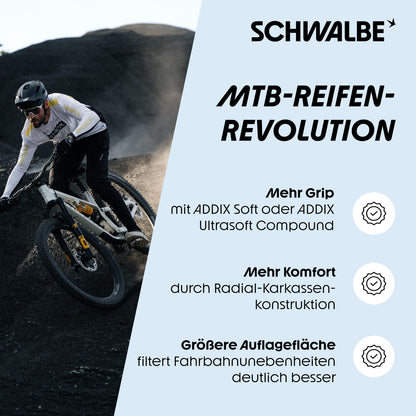 Schwalbe Albert Tire - 29 x 2.50 Tubeless Folding Black Evolution Line Gravity 4