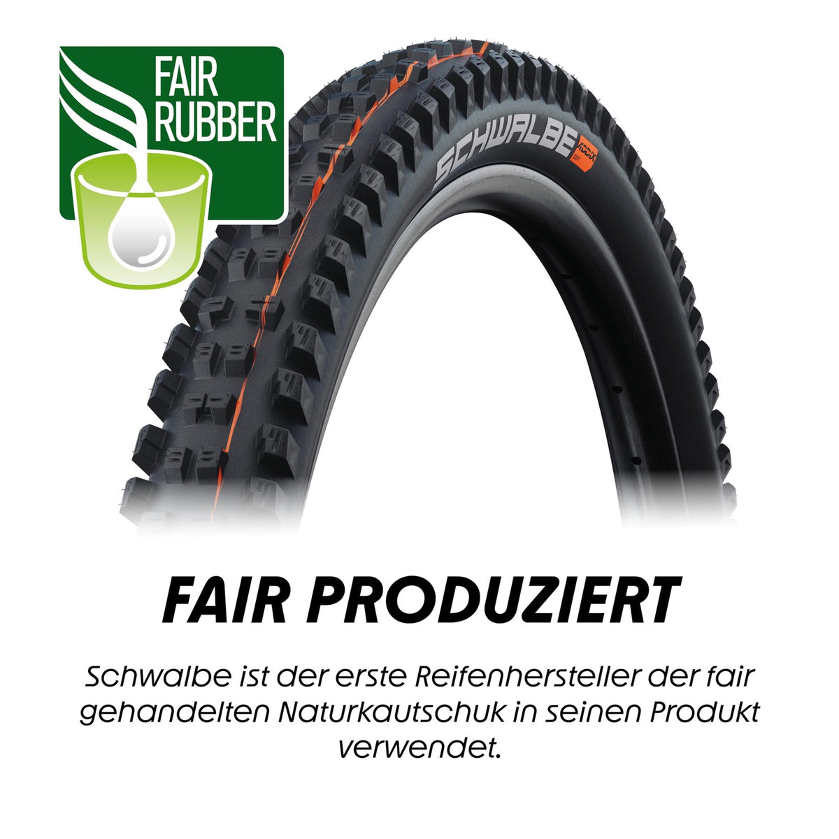 Schwalbe Tacky Chan Tire 29 x 2.40 Tubeless Fold Black Evolution Super Ground 5