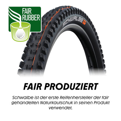 Schwalbe Tacky Chan Tire 29 x 2.40 Tubeless Fold Black Evolution Super Ground 5