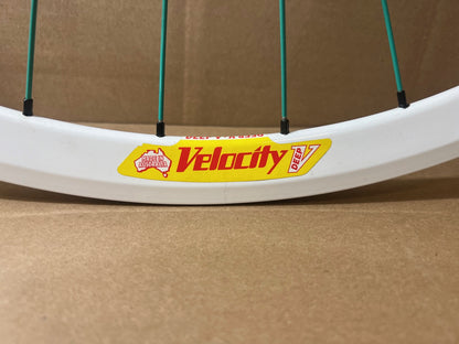 Velocity DV White 8