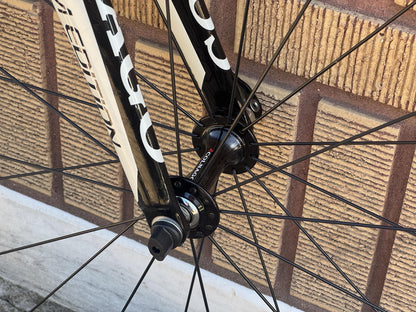Colnago CLD Women's Full Carbon Road Frameset 43s Team Edition HG 11s 6