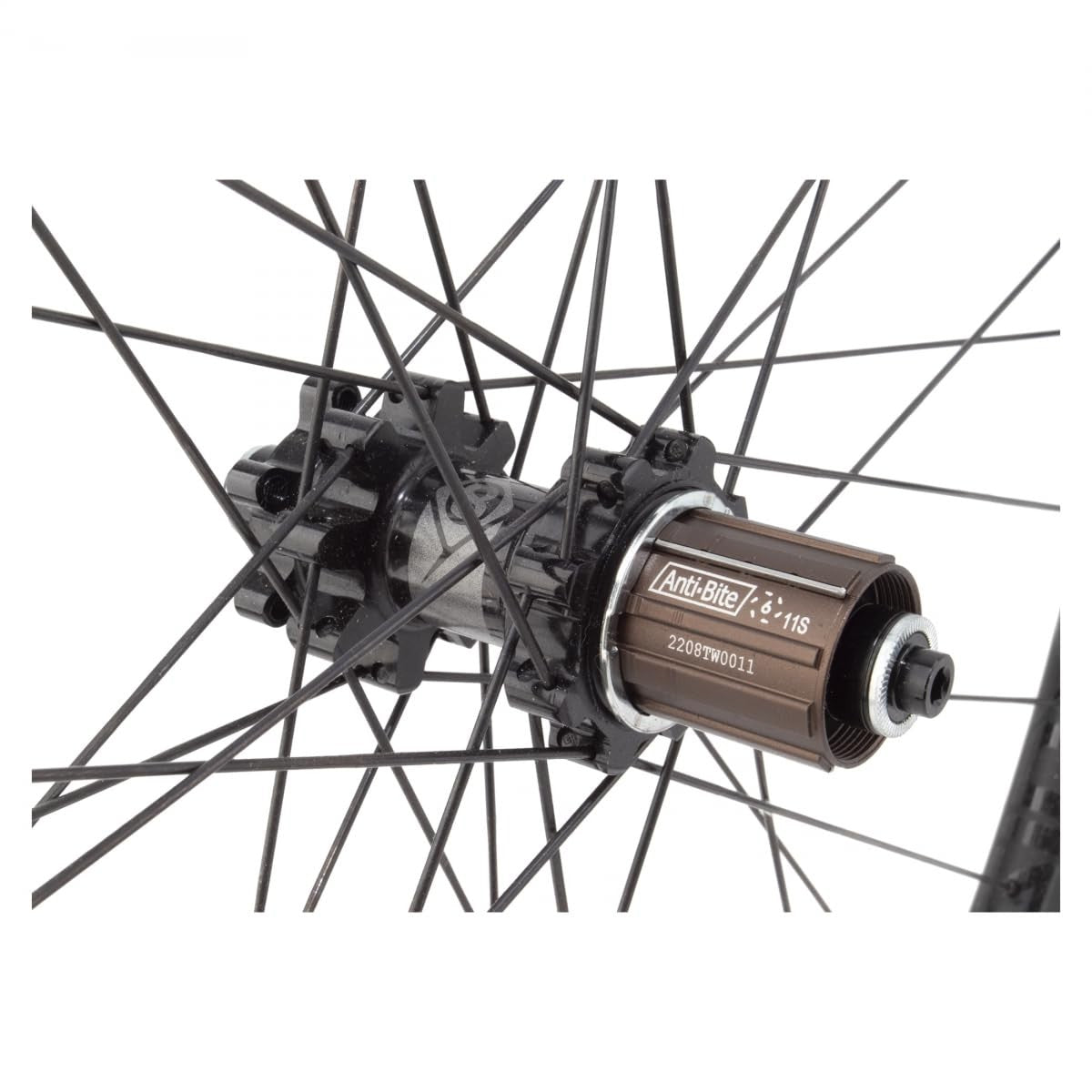 Wheel Master 29in Carbon Mountain Disc Double Wall 29in Set OR8 Bolt Carbon 2