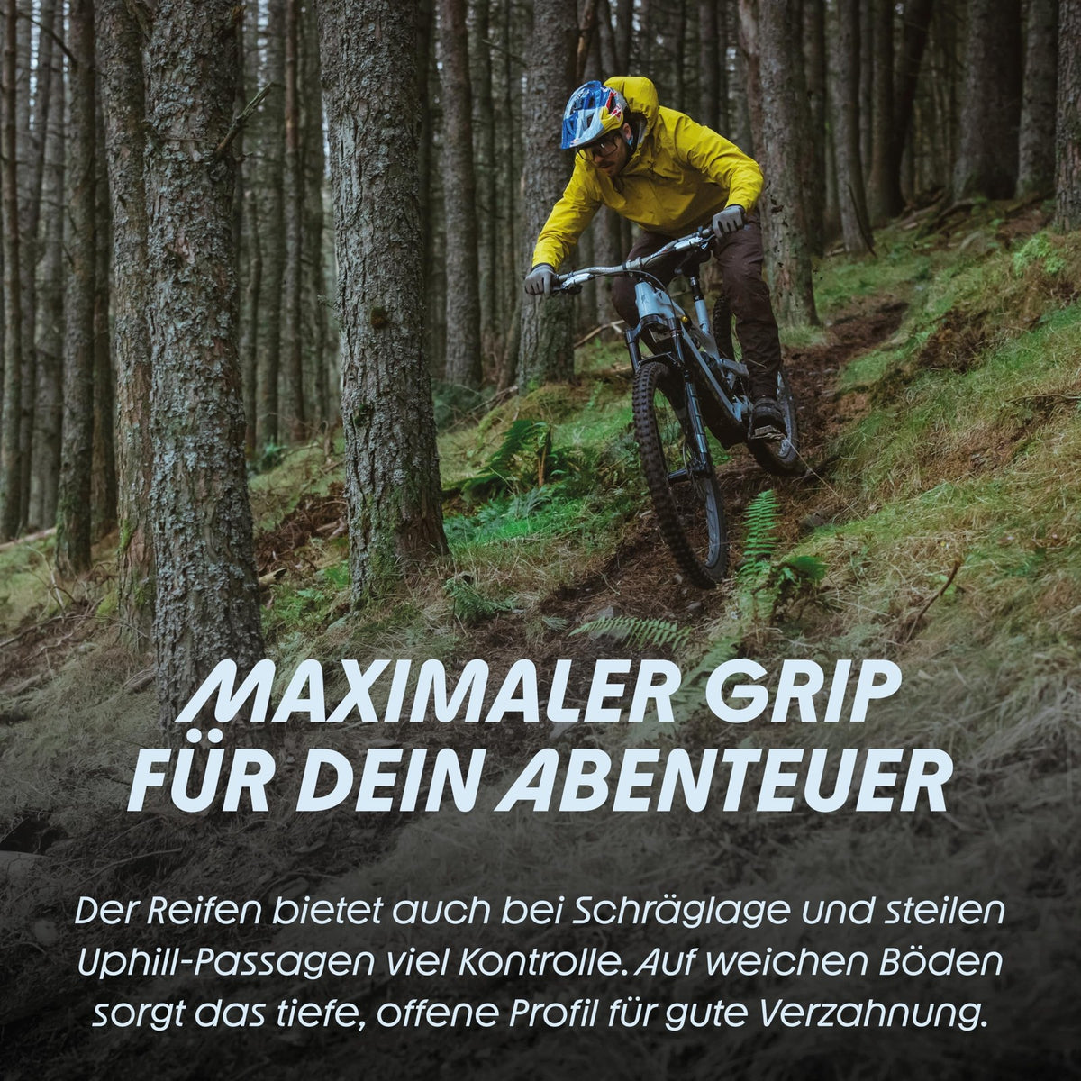 Schwalbe Shredda Mountain Tire 29x2.50 3