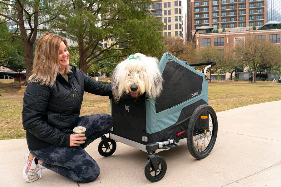 Burley Bark Ranger™ XL Pet Trailer One size Black/Dark Teal 15
