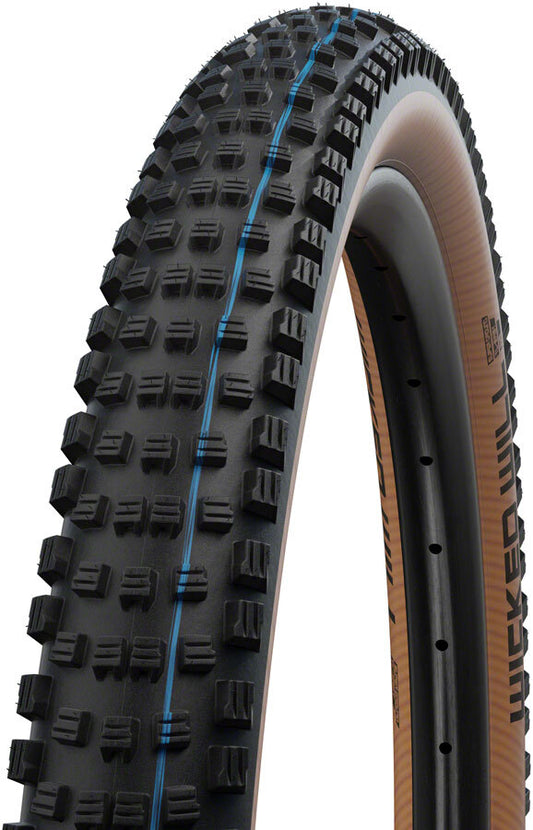 Schwalbe Wicked Will Tire - 29x2.25 TBLS Fold Black/Transparent Evolution Race 1