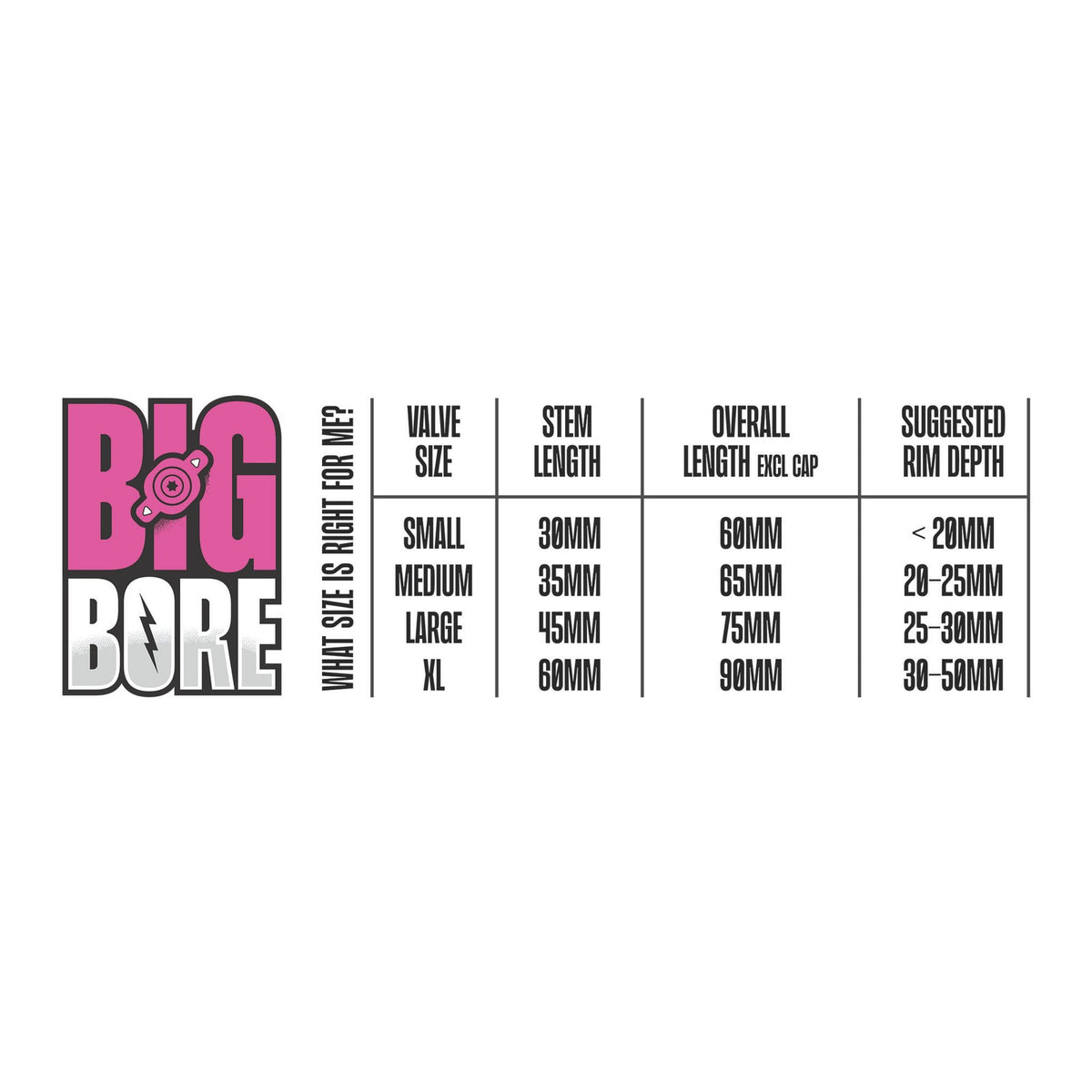 Big Bore Hybrid Tubeless Valve Stems Schrader 45mm Iridescent Pair 2