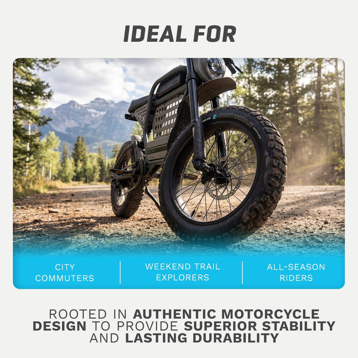 Vee Tire Co. Huntsman Tire - 20 x 4.0 Clincher Wire Black Performance Override 6