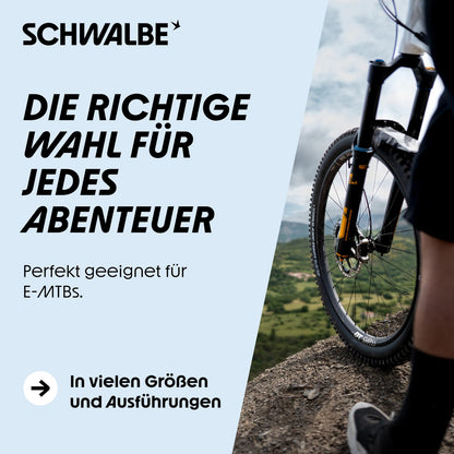 Schwalbe Albert Gravity Pro Mountain Tire 29x2.60 6