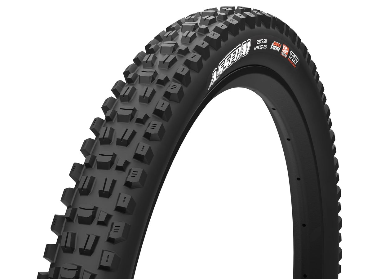 Maxxis Assegai | MaxxTerra - EXO | Mountain Bike Tire E25 29x2.60 1