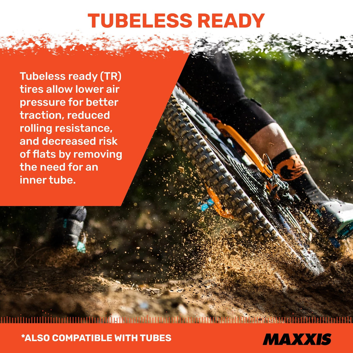 Maxxis Minion DHR II | MaxxTerra - DoubleDown (DD) | MTB Tire 29x2.50 4