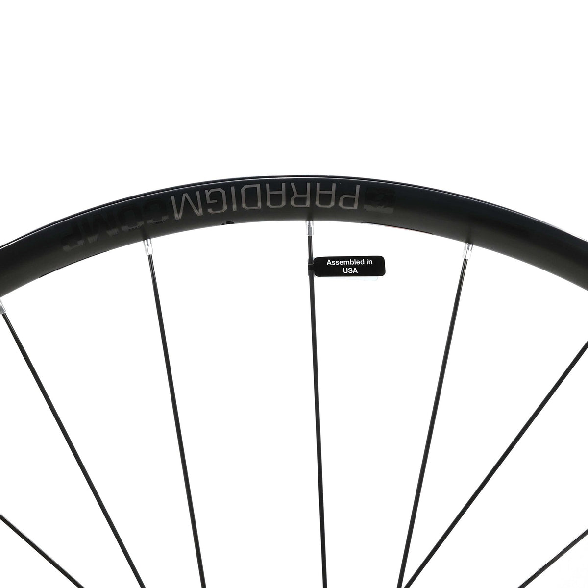 Bontrager Paradigm Comp Disc Front Wheel, 700c, 12x100mm Thru Axle, TLR, Black 4
