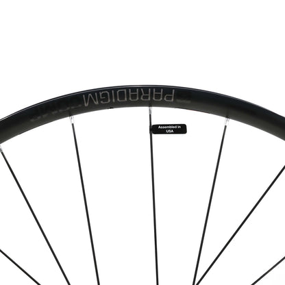 Bontrager Paradigm Comp Disc Front Wheel, 700c, 12x100mm Thru Axle, TLR, Black 4