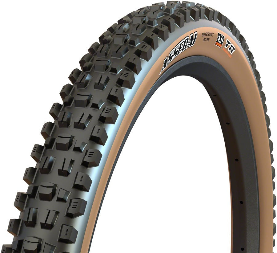 Maxxis Assegai Mountain Tire, 29"x2.50, Folding, Tubeless Ready, Dual, EXO, 1