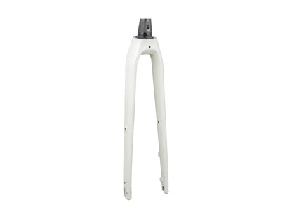 Trek FX 3 700c Disc Rigid Fork 2