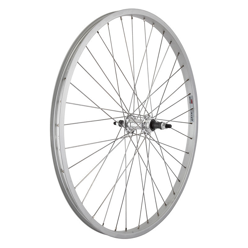 WM Wheel Rear 26x1.75 559x25 Aly Sl 36 Aly Fw 5/6/7sp Bo Sl 135mm Ss2.0sl 1