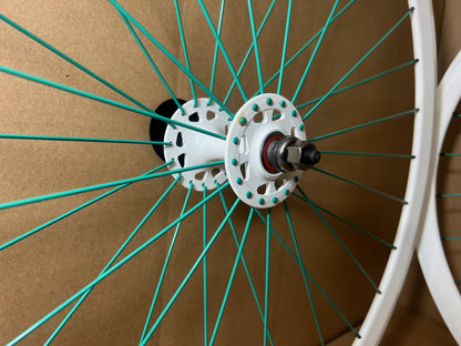 Velocity DV White 6