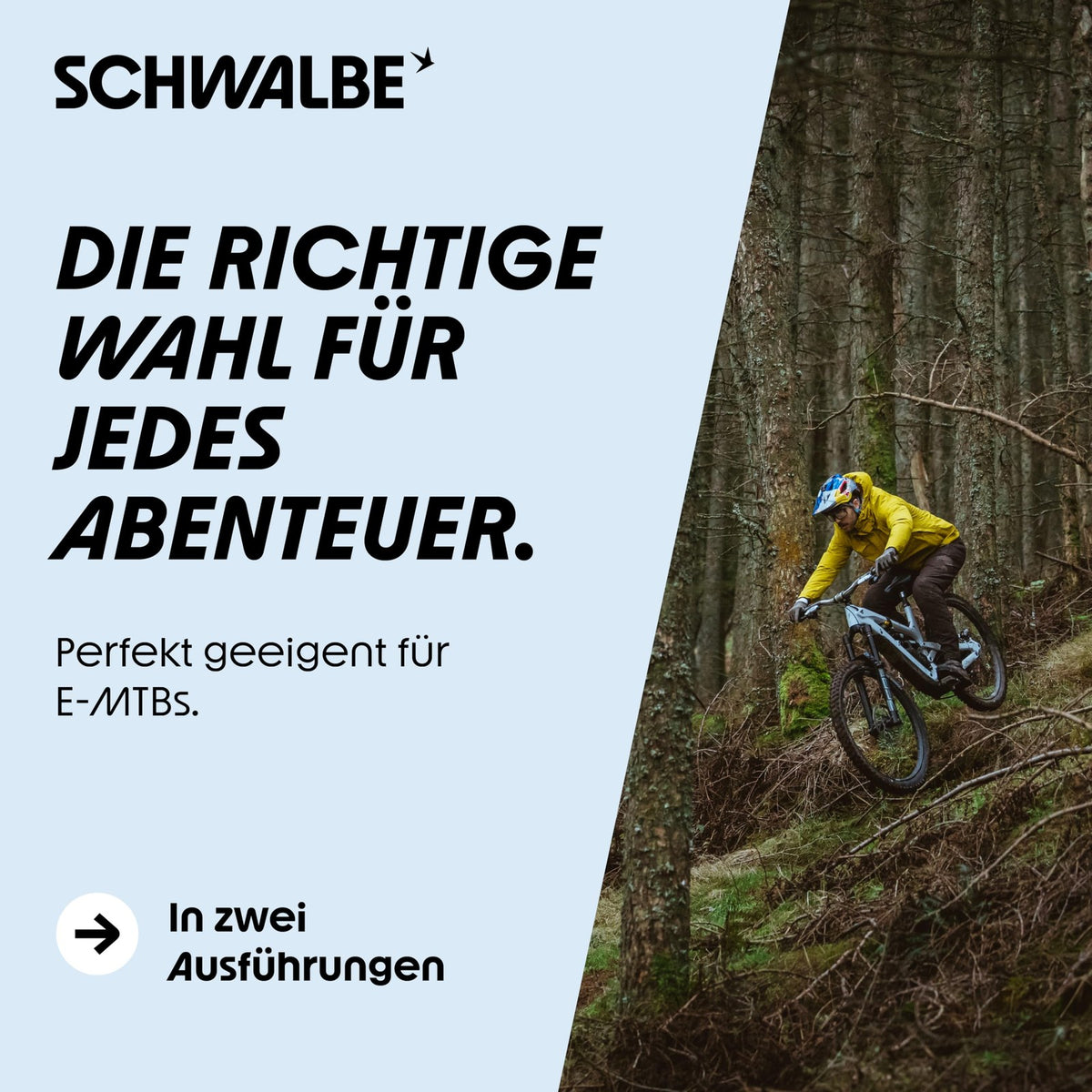 Schwalbe Shredda Mountain Tire 29x2.50 6
